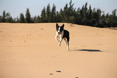 《暗黑破坏神4》实体豪华珍藏版提前发布 先睹为快！